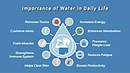 Water for life - Why is Water so Important to Us? - Trend Around Us