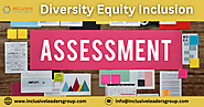What is Key Components of a Diversity Equity Inclusion Assessment?