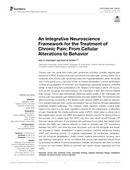 An Integrative Neuroscience Framework for the Treatment of Chronic Pain: From Cellular Alterations to Behavior
