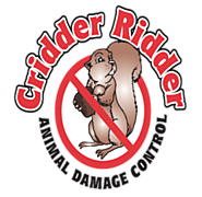 Cridder Ridder - Kansas City Critter Control and Animal Removal Service