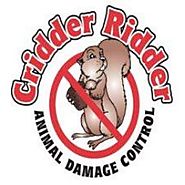 Cridder Ridder: Dead Animal Removal in Kansas City and more!