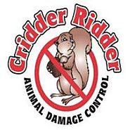 Cridder Ridder: Dead Animal Removal in Kansas City and more!
