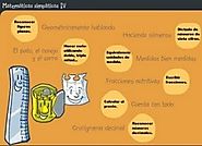 Zona de Alumnos de la Junta de Castilla y León - Matemáticas 4