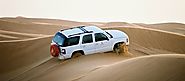 Five managers went to a Safari and ...