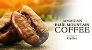 What's the Best Jamaican Blue Mountain Coffee 2023 - Best Quality Coffee