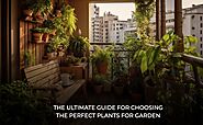 The Ultimate Guide for Choosing the Perfect Plants for Garden - 360Life Design Studio