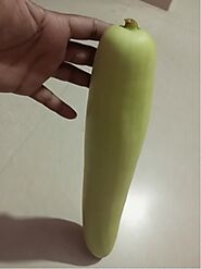 लौकी के बेसकीमती फायदे Benefits Of Bottle gourd