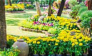 Seasonal Planting & Flowerbed Design For Year-Round Enjoyment!