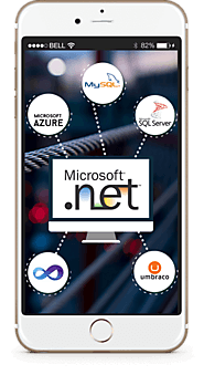 DotNetNuke Development Company - Hire DNN Module Developers