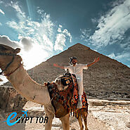 Sharm El Sheikh to Cairo by Bus - Things To Do in Sharm El Sheikh Egypt Tor
