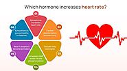 Which hormone increases heart rate?