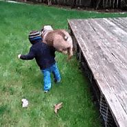 19 More GIFs Of Animals Knocking Out Kids Because It's Time And We Deserve This If you love your animals, set them fr...
