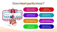 Does Heart Purify Blood?
