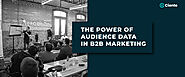 The Power of Audience Data in B2B Marketing