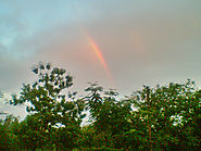 A RARE GLIMPSE OF RAINBOW CAUGHT TO MY MOBILE PHONE IN 2008 | KNOWEB