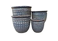 Green Carpet: The Garden Centre