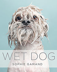 WET DOG by Sophie Gamand