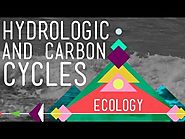 The Hydrologic and Carbon Cycles: Always Recycle! - Crash Course Ecology #8