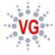 VGGroups - Best Digital Marketing Agency in India