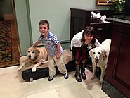 Where to stay in Vancouver with kids