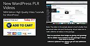 WordPress PLR Videos Bundle and Plugin Creation Software
