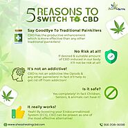 5 Reasons to Switch to CBD