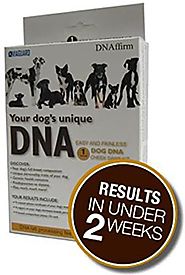 DNA MY Dog Canine Breed Identification Test