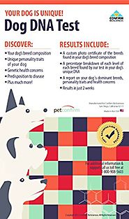 PetConfirm - Dog DNA Test Kit - At-Home Cheek Swab Dog Breed and Personality Traits Identification Test With Laborato...