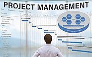 Project Management (e.g., Trello, Asana)
