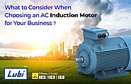 What to Consider When Choosing an AC Induction Motor for Your Business? – LUBI PUMPS