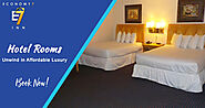Unwind in Luxury with Best Hotel Rooms in Norfolk VA