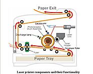 Printers And Scanners | Types And Introduction To Printers