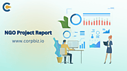 Empower Your NGO with Expert Project Reports