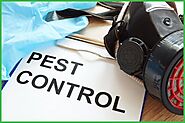 The 5 Pest Control Products You Probably Don’t Know About - SWF Egypt Pest Control