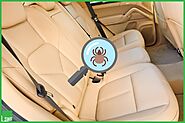 How to Get Rid of Bed Bugs in Cars? - SWF Egypt Pest Control