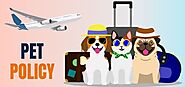 Do you want to travel with your pet friend on JetBlue?
