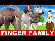 Finger Family Song - Birds and Animals Singing Baby Songs - Finger Family Songs for Babies