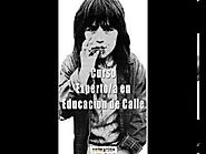 Curso Educador de Calle — METODOLOGÍA DEL EDUCADOR DE CALLE: EVALUACIÓN