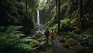 Maui's Best Kept Secret: Hiking Tours You Need to Experience