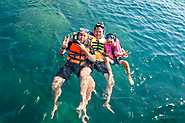 Maui's Underwater Wonders: Best Snorkeling Tours for Families