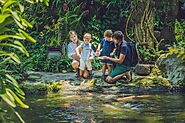 Embarking on the Scenic Journey: Exploring the Enchanting Road to Hana