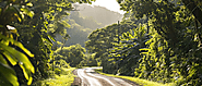 Sunrise to Sunset: Capturing the Essence of the Road to Hana
