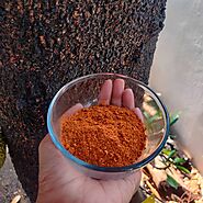 Hyderabadi Biryani Masala – Tocco