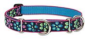 Lupine 1-Inch Flower Power Martingale Combo Collar