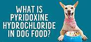 The Science Behind pyridoxine hydrochloride in dog food