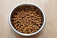 how much protein is in a bowl of dog food PetHealthMatter