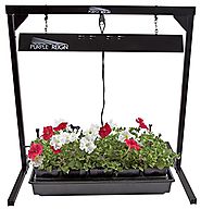 Apollo Horticulture Purple Reign 2' Foot 2 Bulb 24W 6400K T5 Grow Light System for Plant Growing