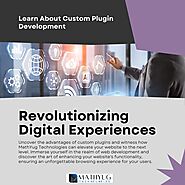 Revolutionizing Digital Experiences: The Power of Custom Plugin Development | Education