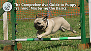 Website at https://sufesnews.tn/guide-to-puppy-training-mastering-the-basics/