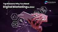 Top Reasons Why You Need Digital Marketing in 2024 – Leveetech